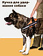 Шлейка MiloPets для собак, размер М, фото 2