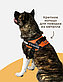 Шлейка MiloPets для собак, размер М, фото 4
