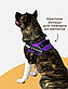Шлейка MiloPets для собак, размер XXL, фото 5