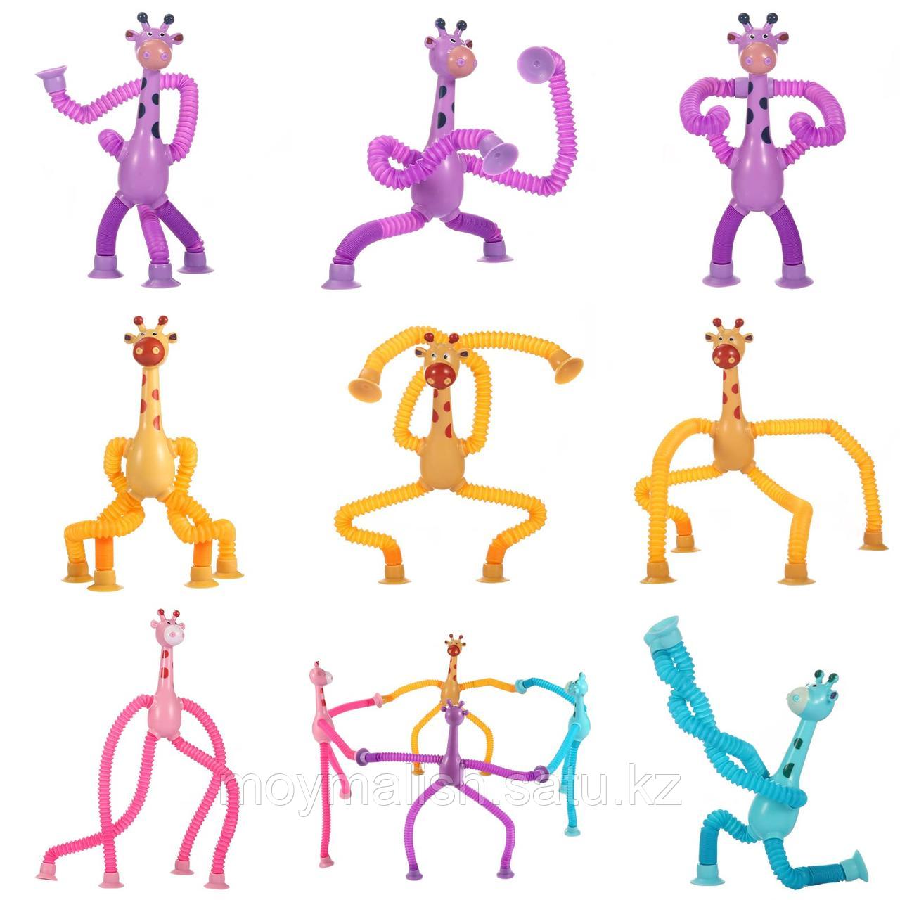 Антистресс поп-трубы, Жираф на присосках (жирафик Pop tubes) для детей и взрослых - фото 7 - id-p110895159