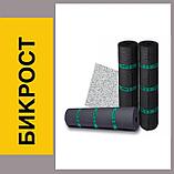 Материал кровельный ТЕХНОНИКОЛЬ Биполь ХКП Сланец Серый 10*1, фото 2