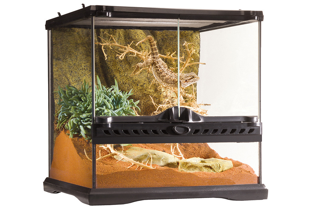 Террариум стеклянный - Exo-Terra Natural Terrarium - 30 х 30 х 30 см PT2600 - фото 1 - id-p110908026