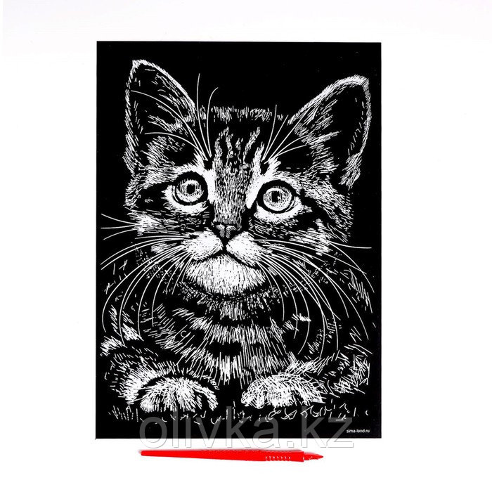 Гравюра «Котёнок» с металлическим эффектом «золото» А4 - фото 3 - id-p110913517