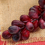 Муляж "Виноград" 85 ягод 31 см, матовый микс, фото 3