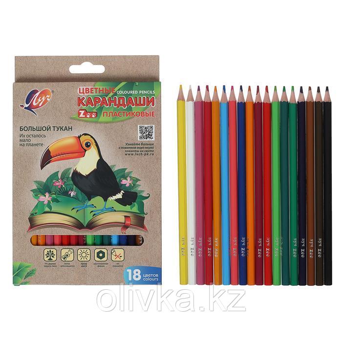 Цветные карандаши 18 цветов ZOO, пластиковые, шестигранные - фото 1 - id-p110922663