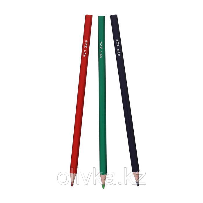 Цветные карандаши 18 цветов ZOO, пластиковые, шестигранные - фото 2 - id-p110922663