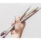 Растущие подарочные карандаши "Восточные пряности" набор 3 шт. черные, фото 8