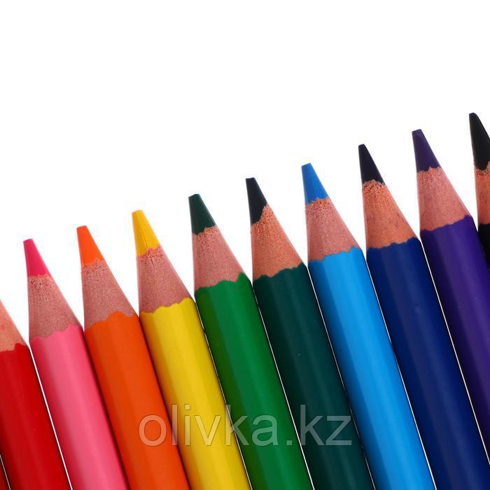 Карандаши 12 цветов BIC Color Up, для подростков и взрослых, трёхгранные, микс - фото 4 - id-p110921756