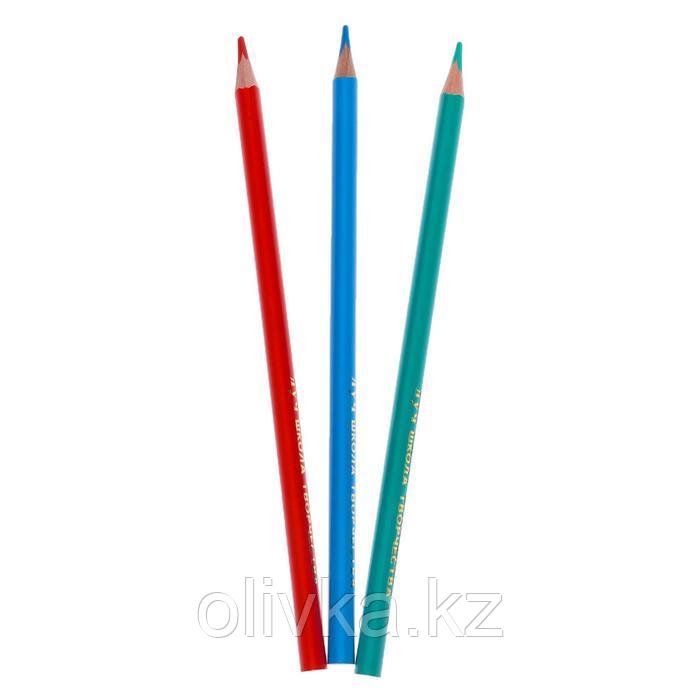 Цветные карандаши 18 цветов "Школа Творчества", трёхгранные - фото 4 - id-p110927344