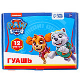 Гуашь 12 цветов по 20 мл, Paw Patrol, карамельная, фото 5