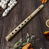 Музыкальный инструмент бамбук "Флейта светлая" 30x1,8x1,8 см, фото 2