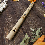 Музыкальный инструмент бамбук "Флейта светлая" 30x1,8x1,8 см, фото 3