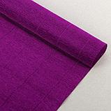 Бумага для упаковки и поделок, Cartotecnica Rossi, гофрированная, фиолетовая, однотонная, двусторонняя, рулон, фото 2