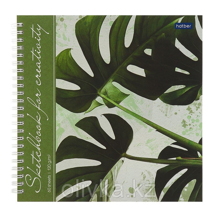 Тетрадь-скетчбук 210 x 210 мм, 60 листов на гребне "Тропические листья", твёрдая обложка, блок 120 г/м², с