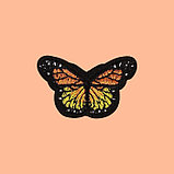 Термоаппликация «Бабочка», 4,3 × 3 см, цвет оранжевый, фото 2