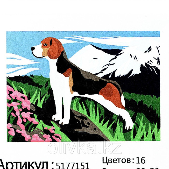 Картина по номерам на холсте с подрамником «Бигль в горах», 30х20 см - фото 5 - id-p110924511