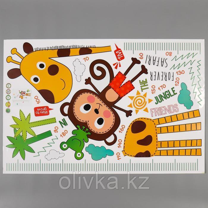 Наклейка пластик интерьерная ростомер "Жираф и обезьянка" 60х90 см - фото 2 - id-p110923610