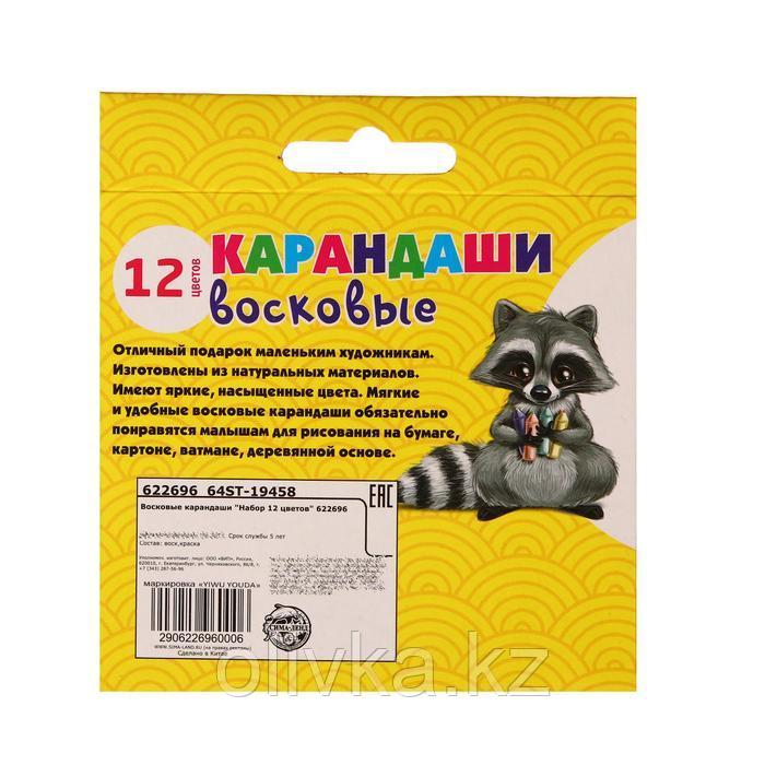 Набор из 12 восковых карандашей, высота 1 шт. = 8 см, d = 0,8 см - фото 2 - id-p110909158