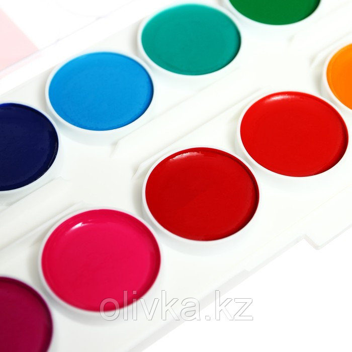 Акварель 24 цвета, «Гамма» «Мультики», без кисти, в пластиковой коробке - фото 8 - id-p110916286
