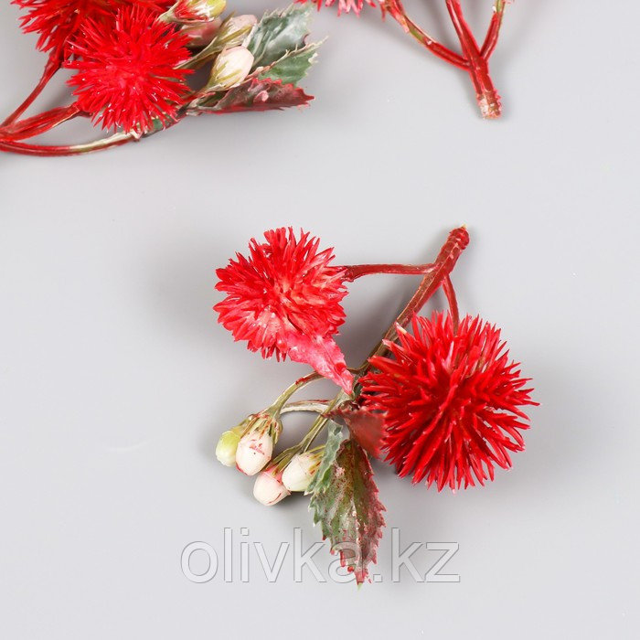 Цветы для декорирования "Эхинопс с ягодками" красный 8 см - фото 1 - id-p110947751