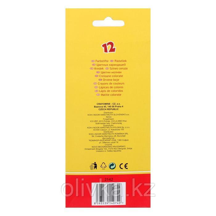 Карандаши 12 цветов Koh-I-Noor 2142 "Центы", картонная упаковка, европодвес - фото 3 - id-p110909184