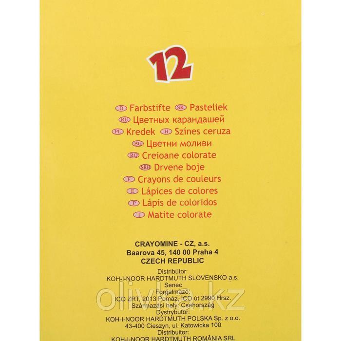 Карандаши 12 цветов Koh-I-Noor 2142 "Центы", картонная упаковка, европодвес - фото 4 - id-p110909184