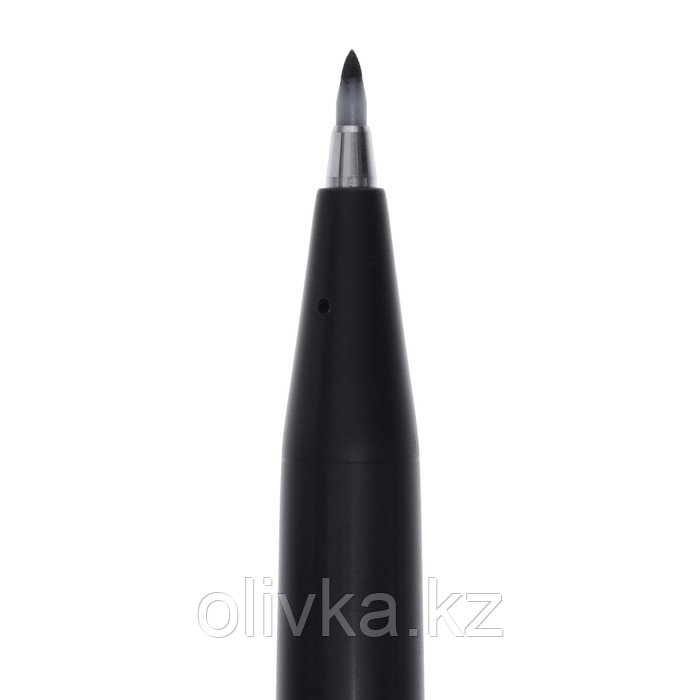 Фломастер-Кисть для каллиграфии Pentel Brush Sign Pen Pigment, 1,1 - 2,2 мм, чернила чёрные - фото 7 - id-p110945767