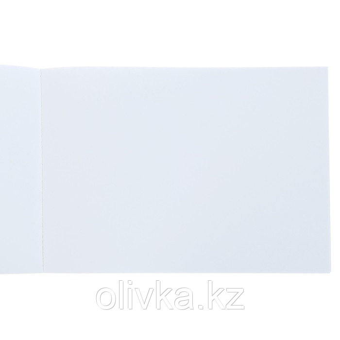 Альбом для рисования А4, 40 листов на клею "Профессиональная серия", обложка картон, блок 150 г/м2, МИКС - фото 3 - id-p110921876