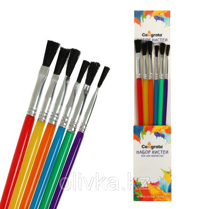 Набор кистей нейлон 6 штук, плоские, с пластиковыми цветными ручками - фото 1 - id-p110914628