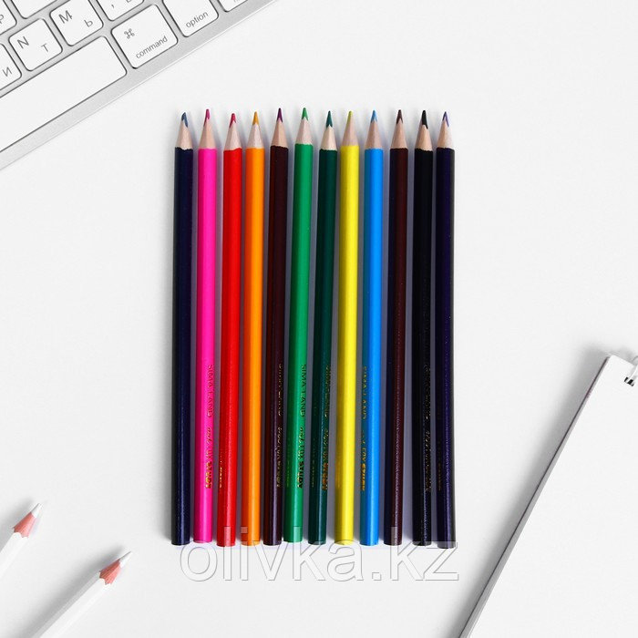 Карандаши цветные ArtFox STUDY, заточенные, трехгранные 12 цветов, корпус деревянный, картонная коробка с - фото 3 - id-p110936159