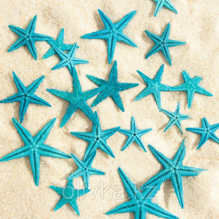 Набор натуральных морских звезд, 1,5 - 2,5 см, 20 шт, синий - фото 2 - id-p110932216