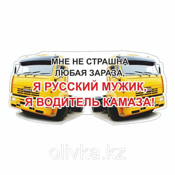 Наклейка на авто "Я водитель КАМАЗа", желтый, 600 х 300 х 1 мм - фото 1 - id-p110948863