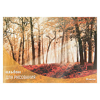 Альбом для рисования А4, 40 листов на скрепке "Лес осенью", обложка мелованный картон, внутренний блок офсет