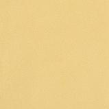 Бумага упаковочная тишью, светло-желтый, 50 х 66 см, фото 2