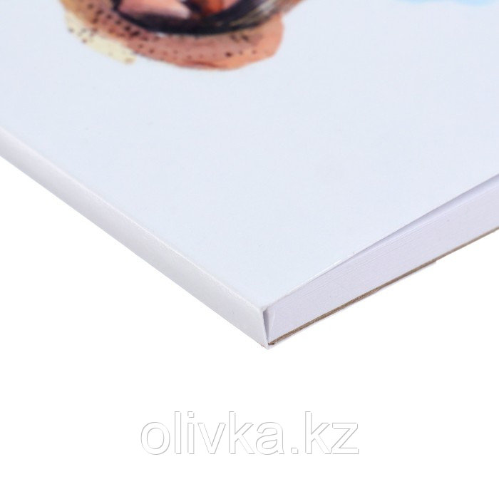 Скетчбук А5, 40 листов, на склейке, "Красота мгновения", обложка мелованная бумага, жёсткая подложка, блок 100 - фото 4 - id-p110938144