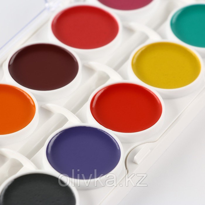 Акварель ArtFox STUDY, 24 цвета, в пластиковой коробке, без кисти. - фото 5 - id-p110933294