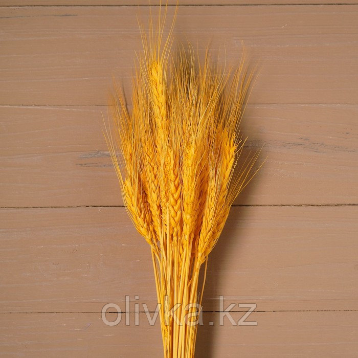 Сухой колос пшеницы, набор 50 шт., цвет жёлтый