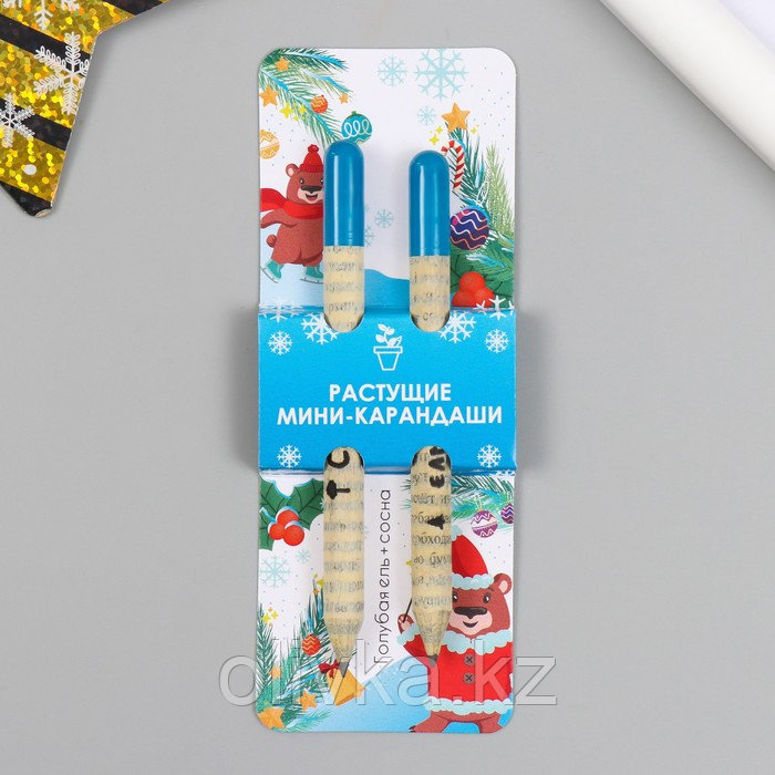 Растущие подарочные карандаши mini "Голубая Ель + Сосна" набор 2 шт. - фото 1 - id-p110941006