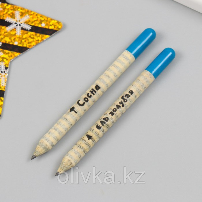 Растущие подарочные карандаши mini "Голубая Ель + Сосна" набор 2 шт. - фото 4 - id-p110941006