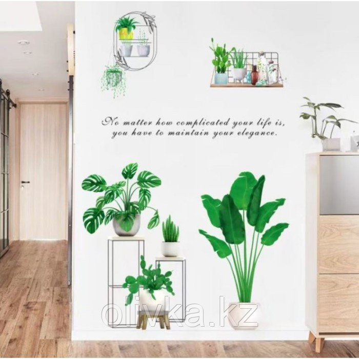 Наклейка пластик интерьерная цветная "Комнатные растения" 60х90 см