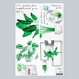 Наклейка пластик интерьерная цветная "Комнатные растения" 60х90 см, фото 2