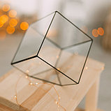 Флорариум "Куб" большой (швы серебро), фото 3