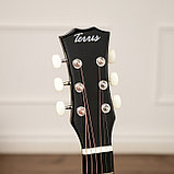 Акустическая гитара TERRIS TF-3802A BK, фото 2