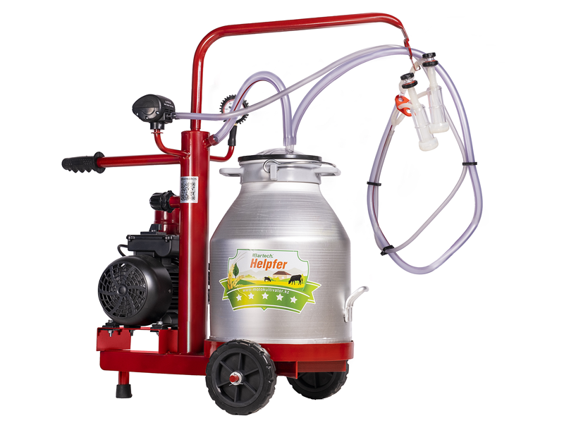 Іш киімдегі порно жігіттер