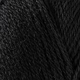 Пряжа "Аргентинская шерсть" 100% импортная шерсть 200м/100гр (003, черный), фото 5