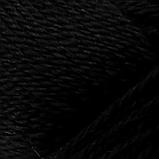 Пряжа "Аргентинская шерсть" 100% импортная шерсть 200м/100гр (003, черный), фото 8
