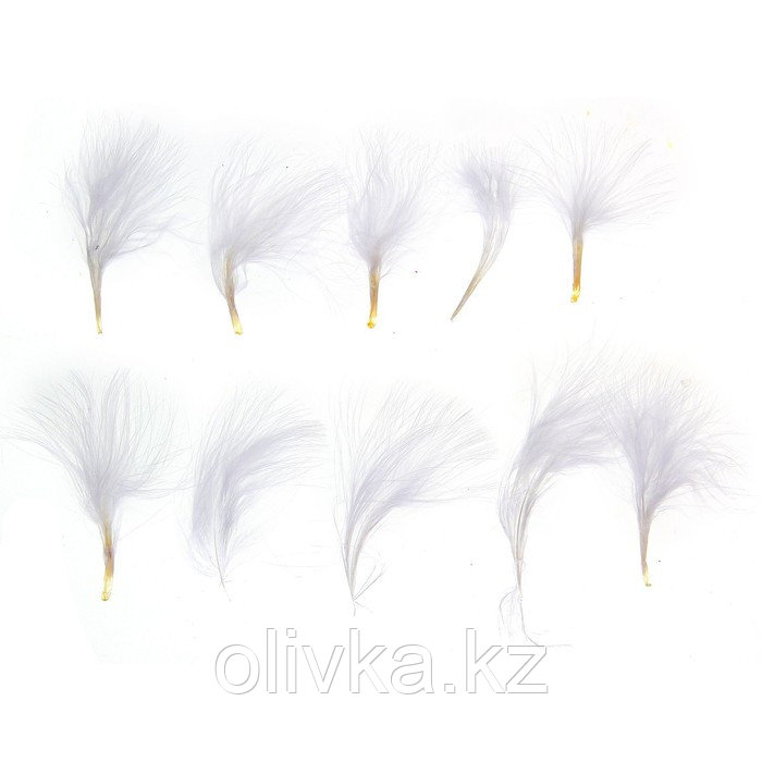 Набор перьев для декора 10 шт., размер 1 шт: 7 × 7 см, цвет белый - фото 1 - id-p110910393