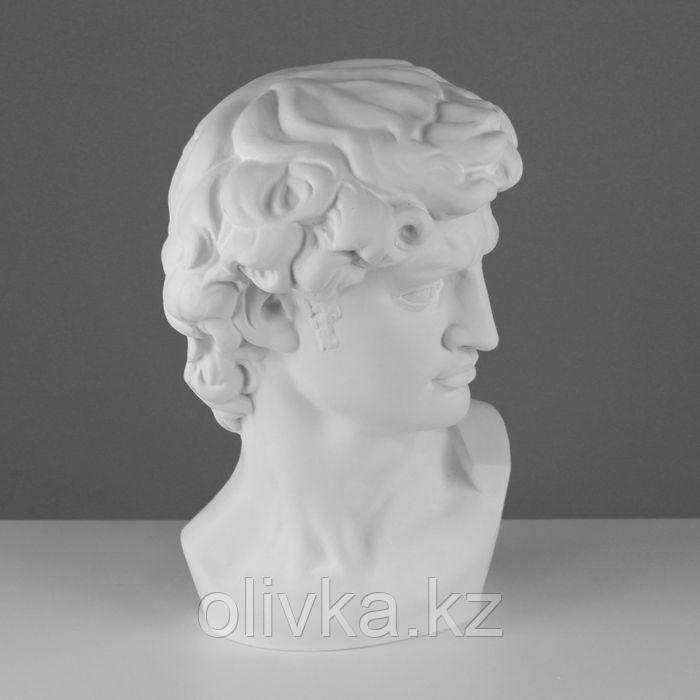 Гипсовая фигура Давида Микеланджело, 30 х 28 х 46 см - фото 2 - id-p110913044