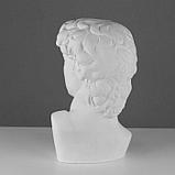Гипсовая фигура Давида Микеланджело, 30 х 28 х 46 см, фото 3
