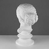 Гипсовая фигура Голова Афродиты Книдской, 25 х 25 х 55 см, фото 3